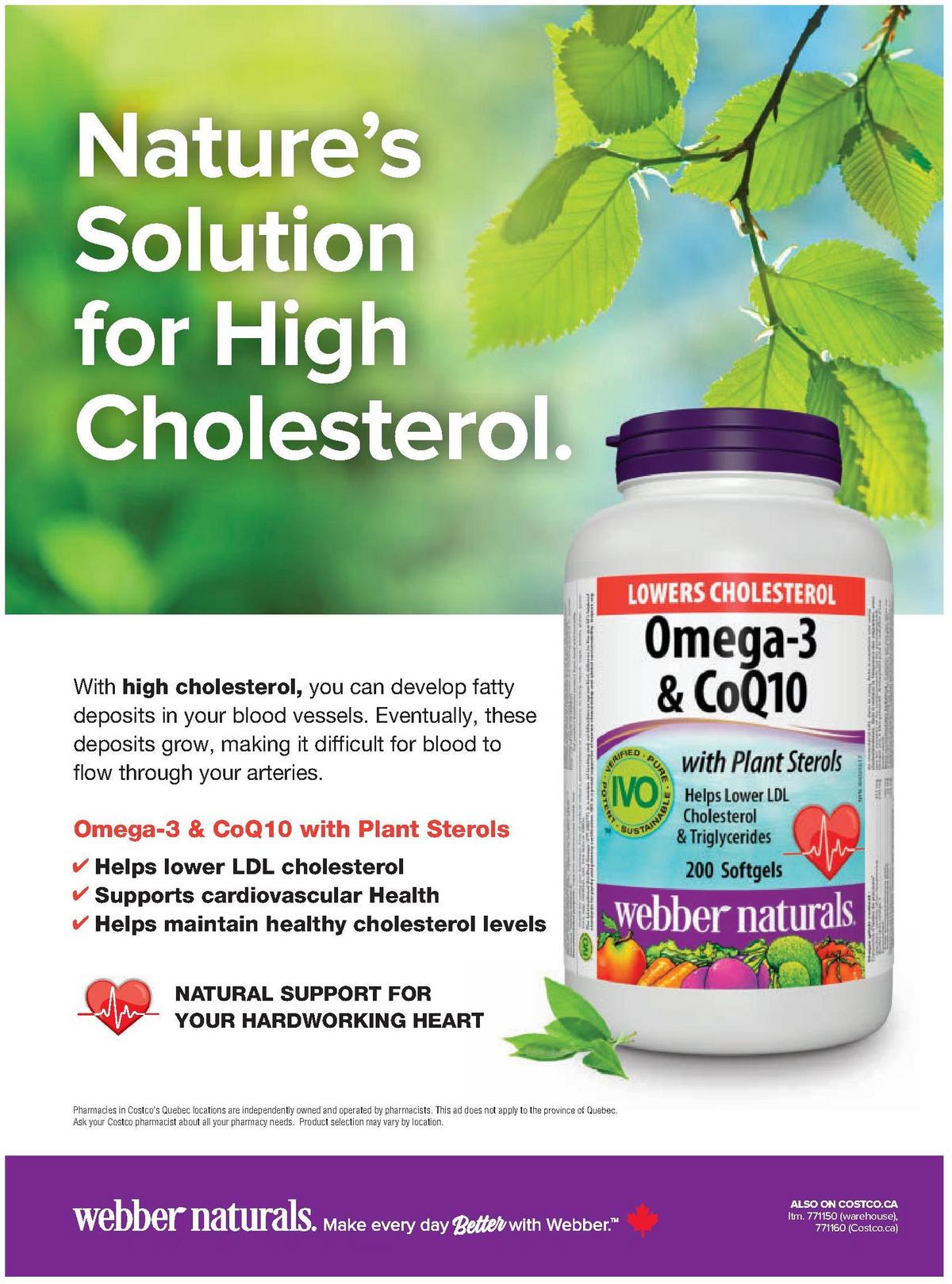 Costco Connection December Flyer from December 1