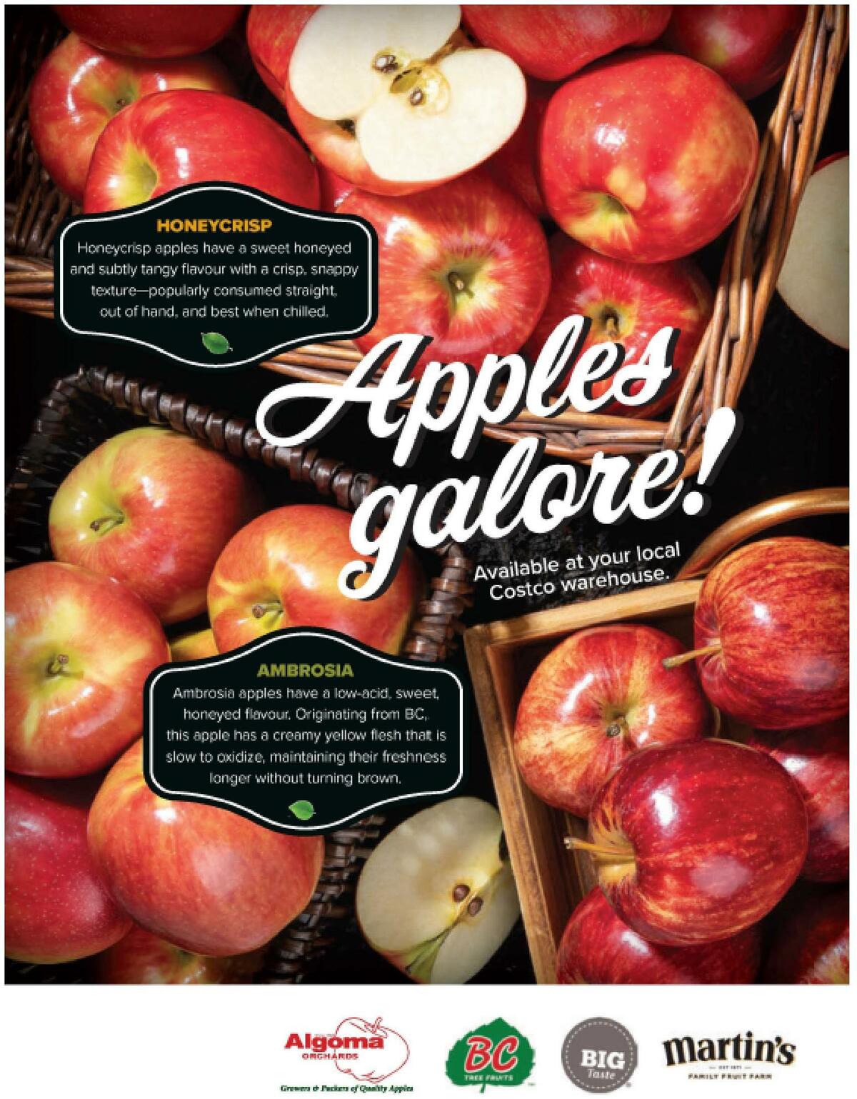 Costco Connection October/November Flyer from October 1