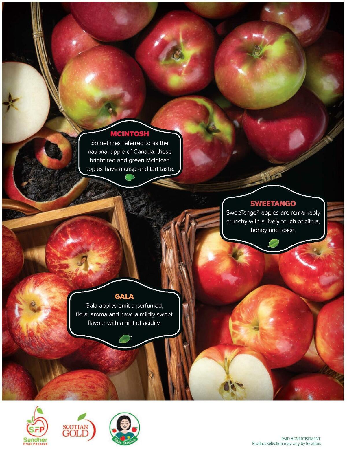 Costco Connection October/November Flyer from October 1