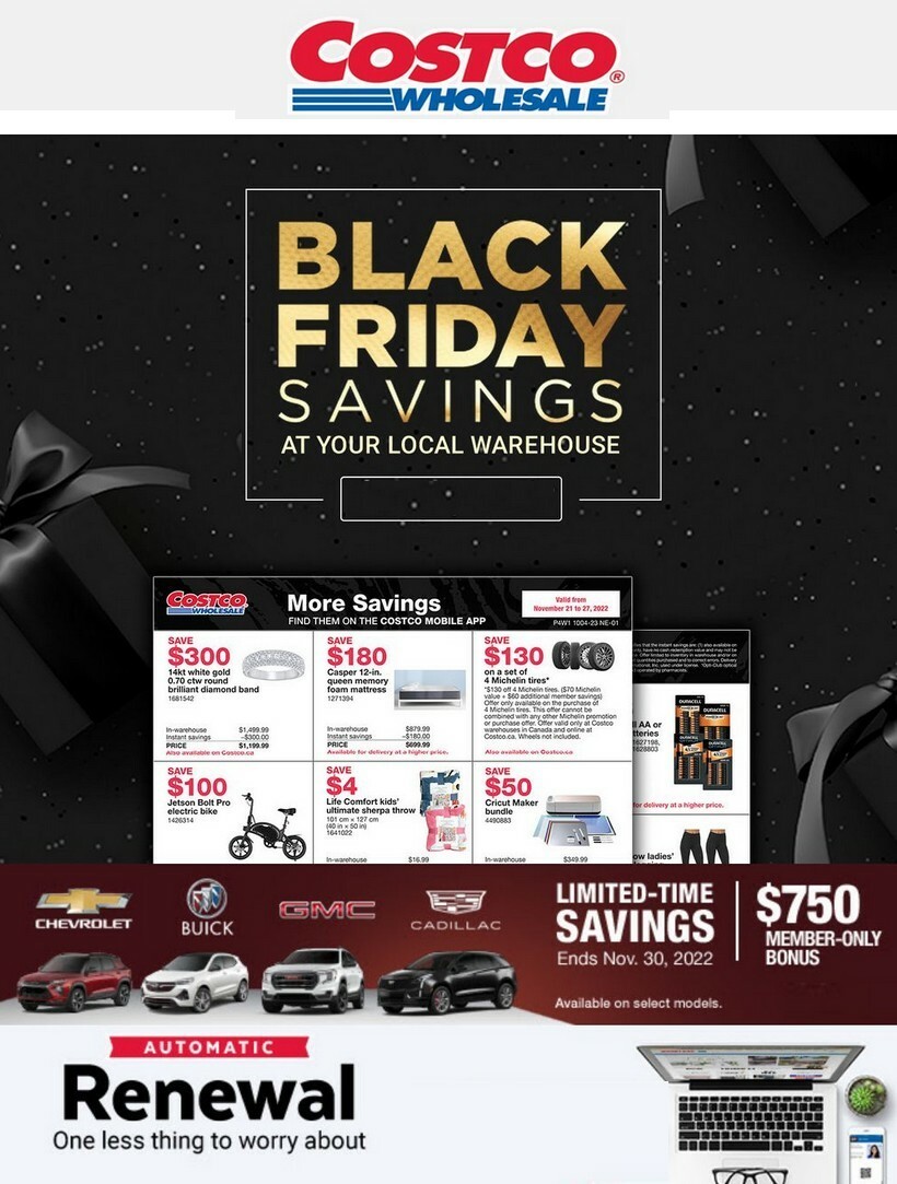 Costco Flyer from November 21