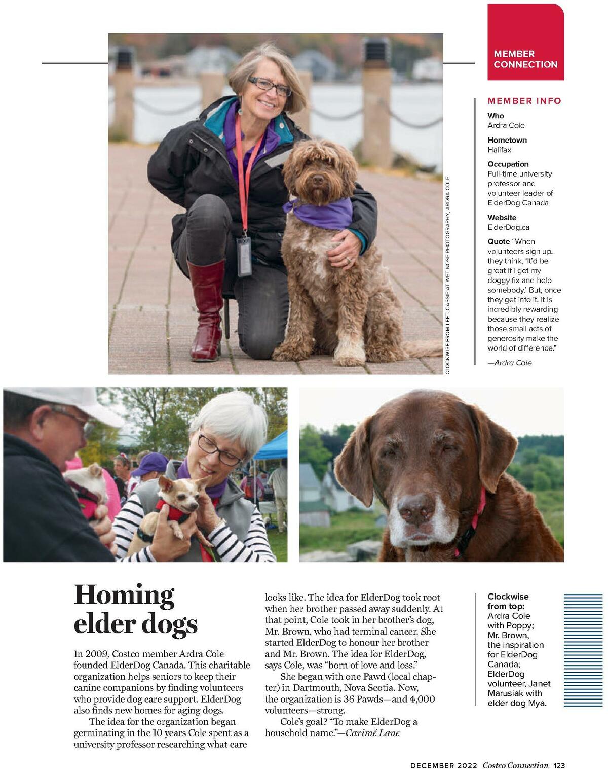 Costco Connection December Flyer from December 1