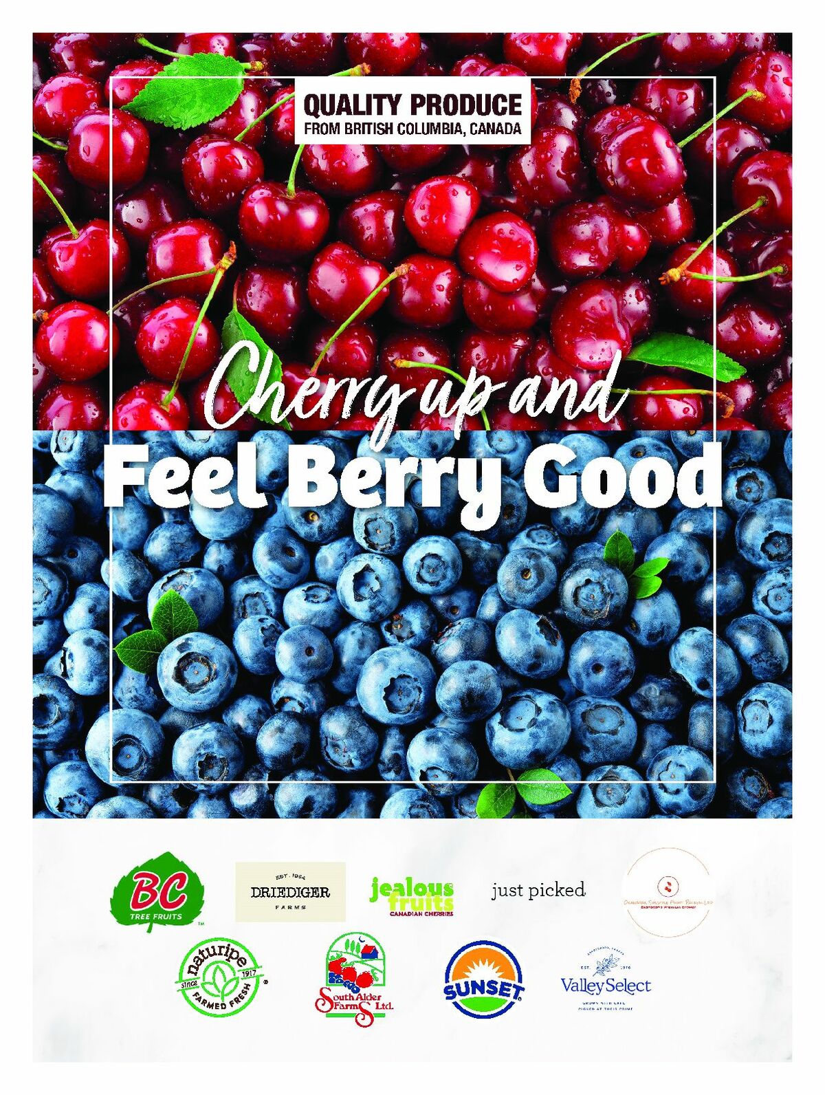 Costco Connection July Flyer from July 1