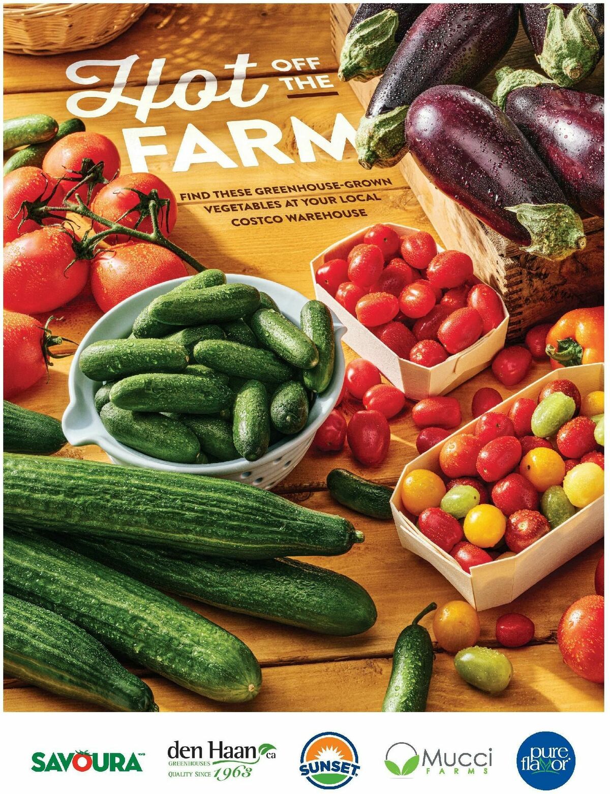 Costco Connection August Flyer from August 1