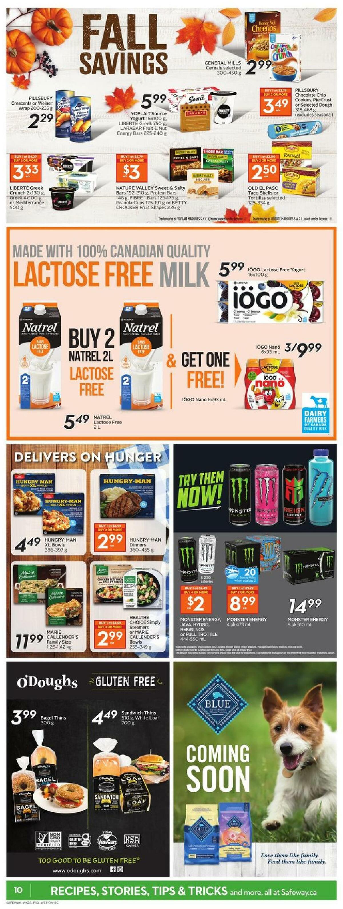Safeway Flyer from October 1