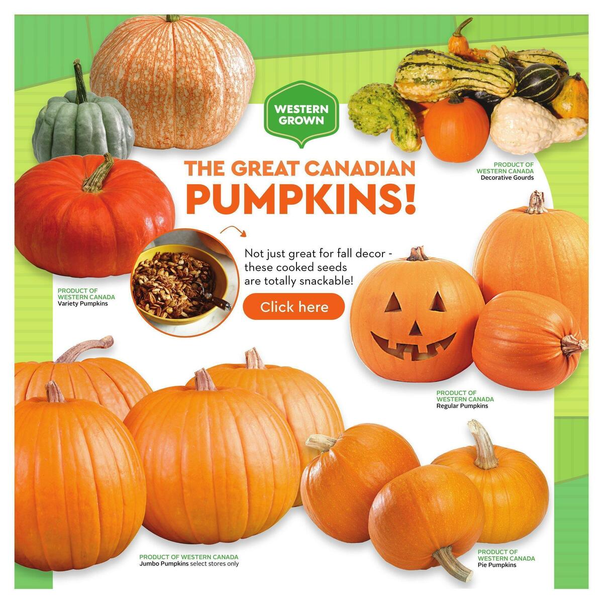 Safeway Flyer from September 22