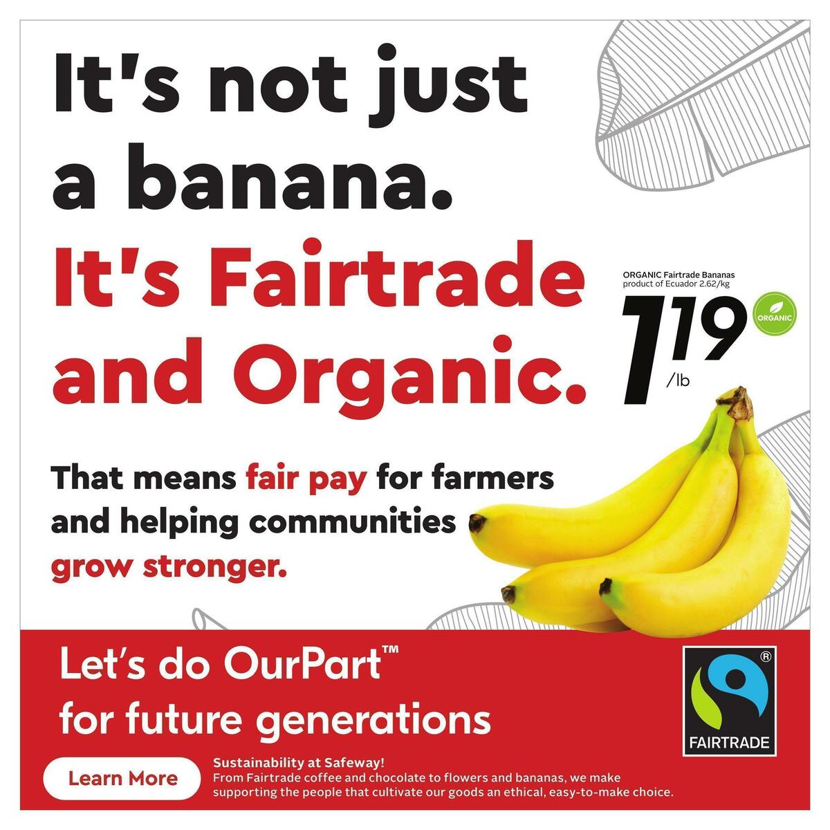 Safeway Flyer from November 17