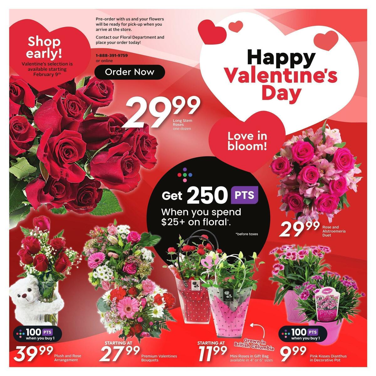 Safeway Flyer from February 9