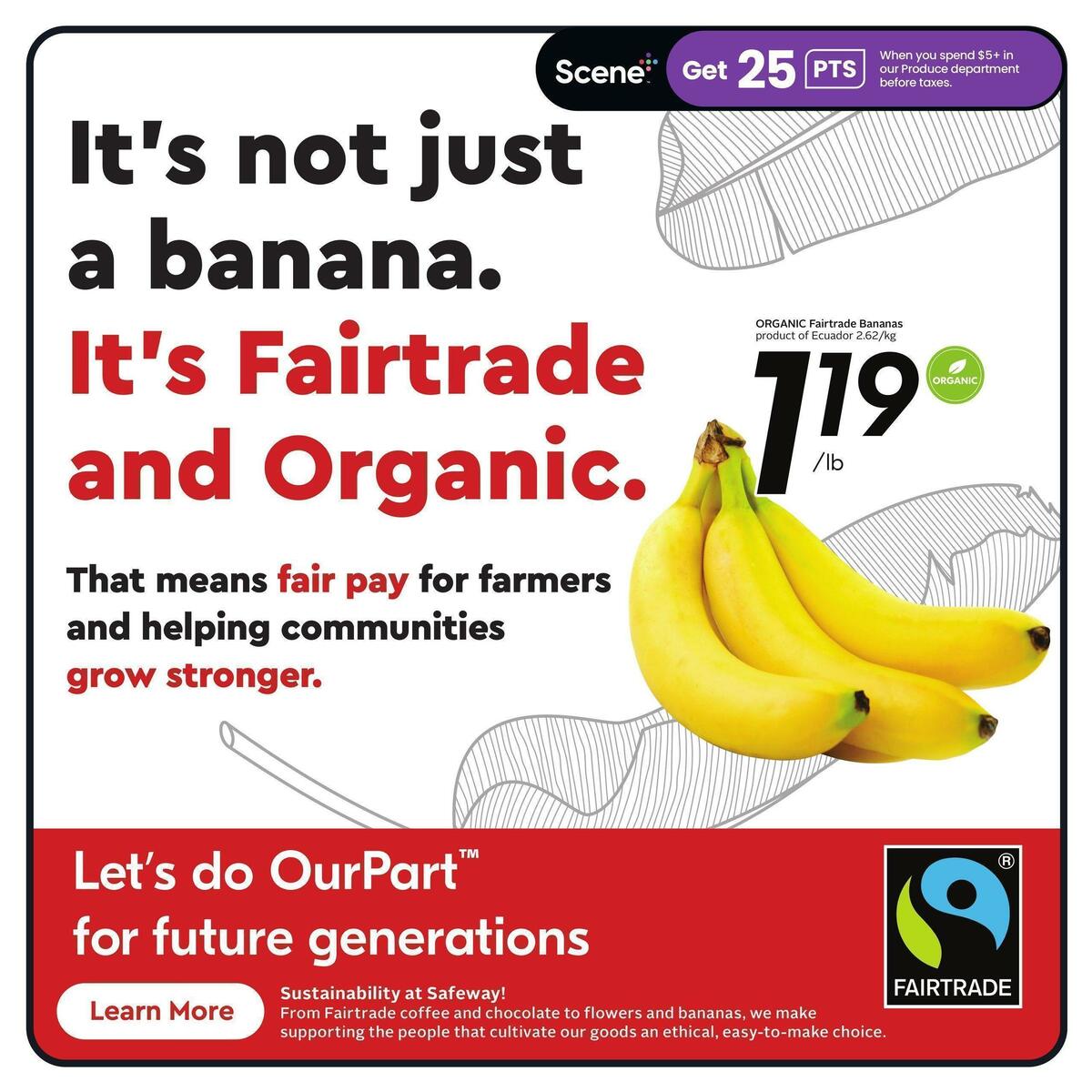 Safeway Flyer from March 23