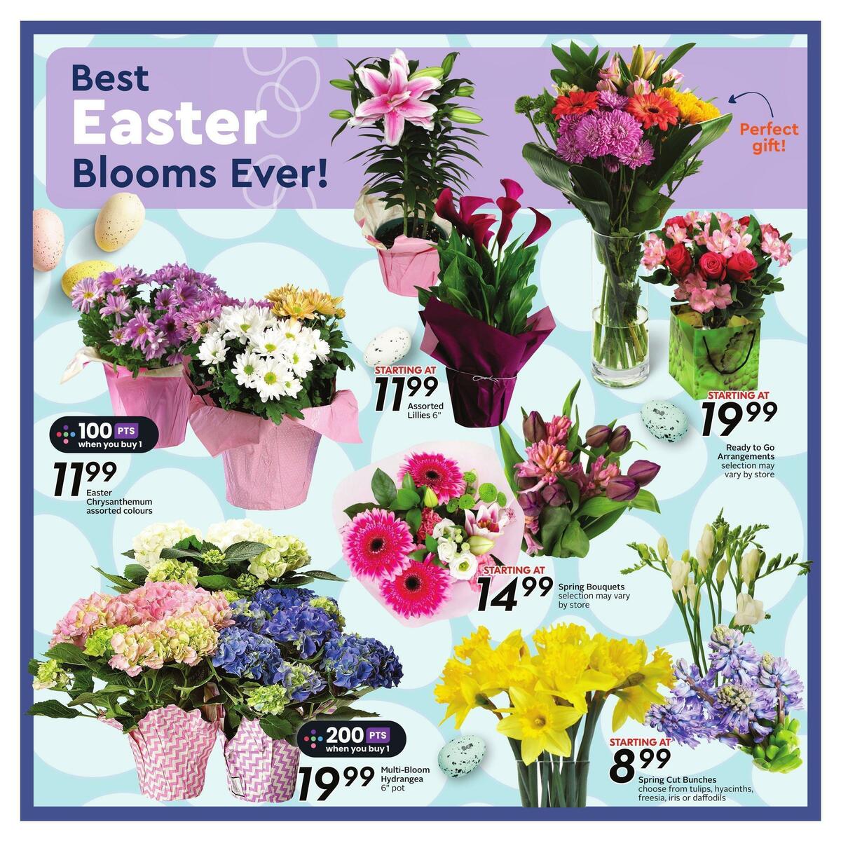 Safeway Flyer from April 6