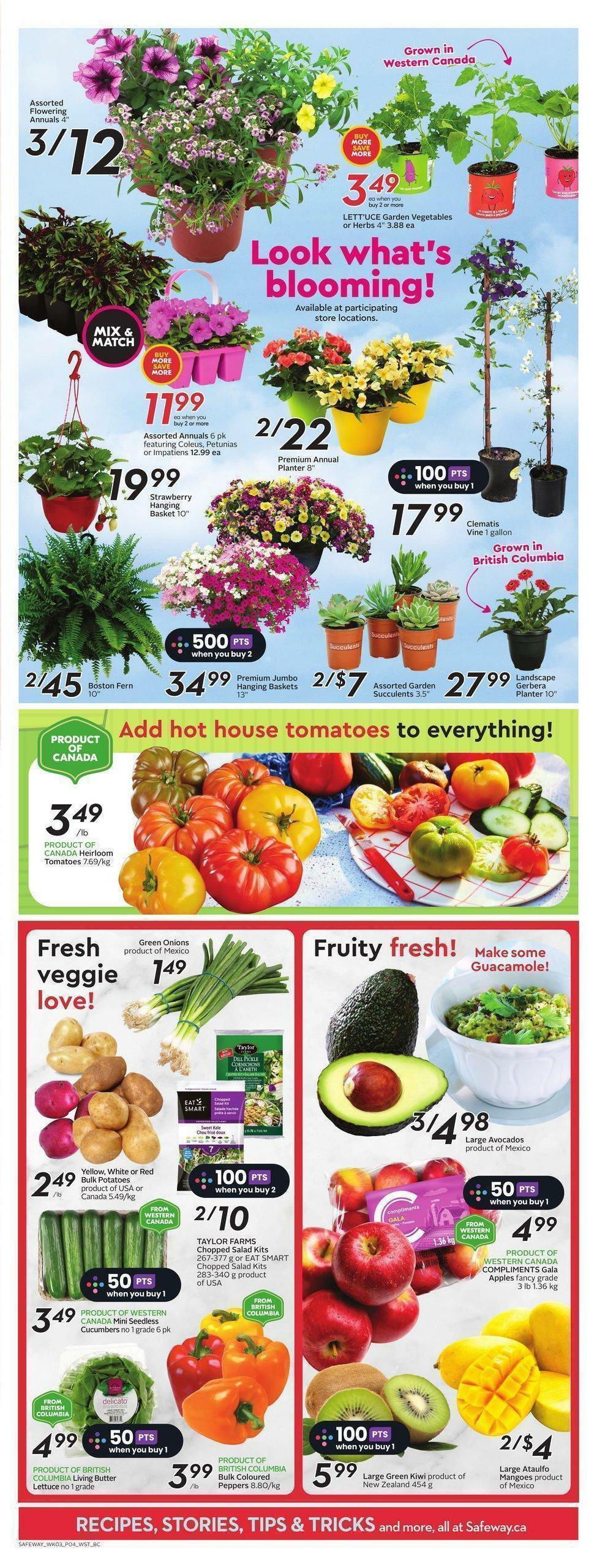 Safeway Flyer from May 18