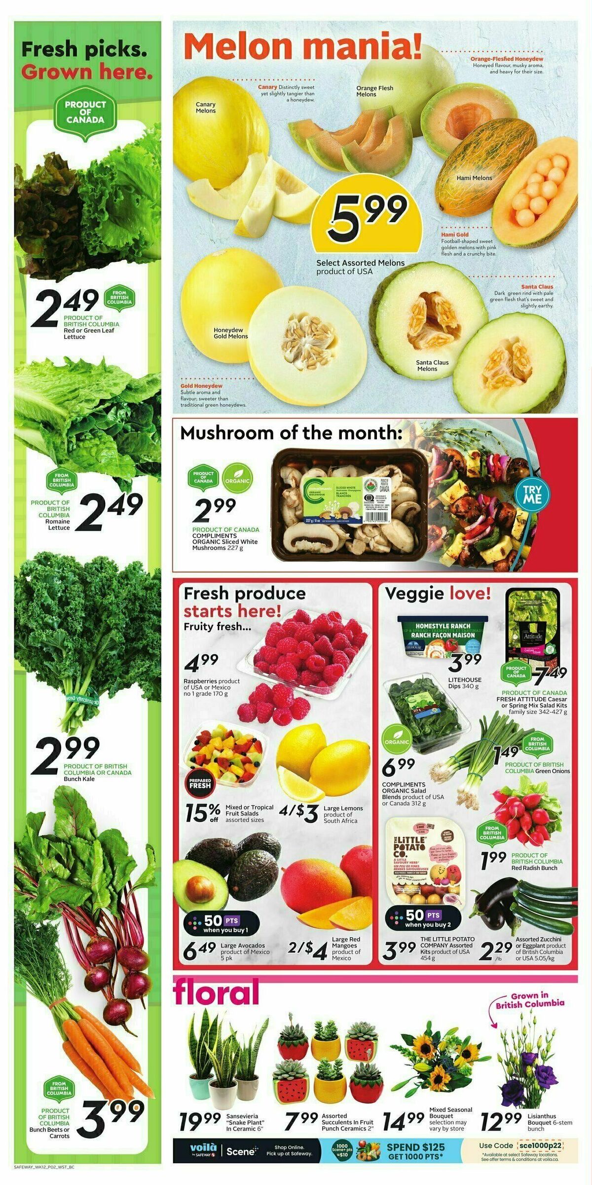 Safeway Flyer from July 20