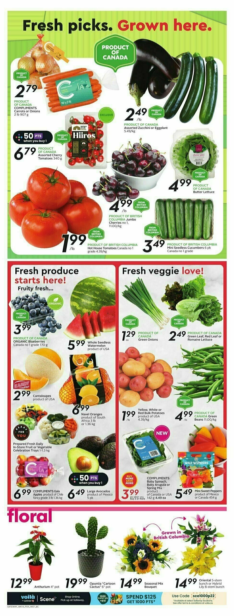 Safeway Flyer from August 3