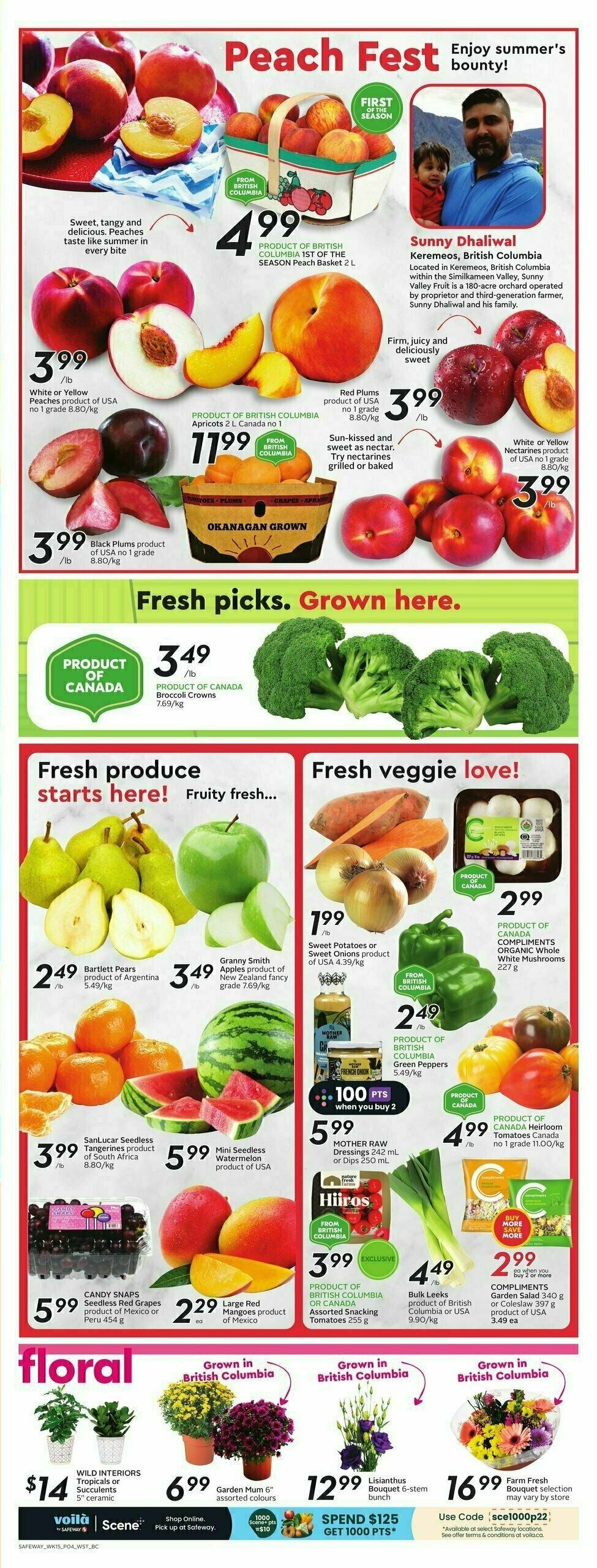 Safeway Flyer from August 10