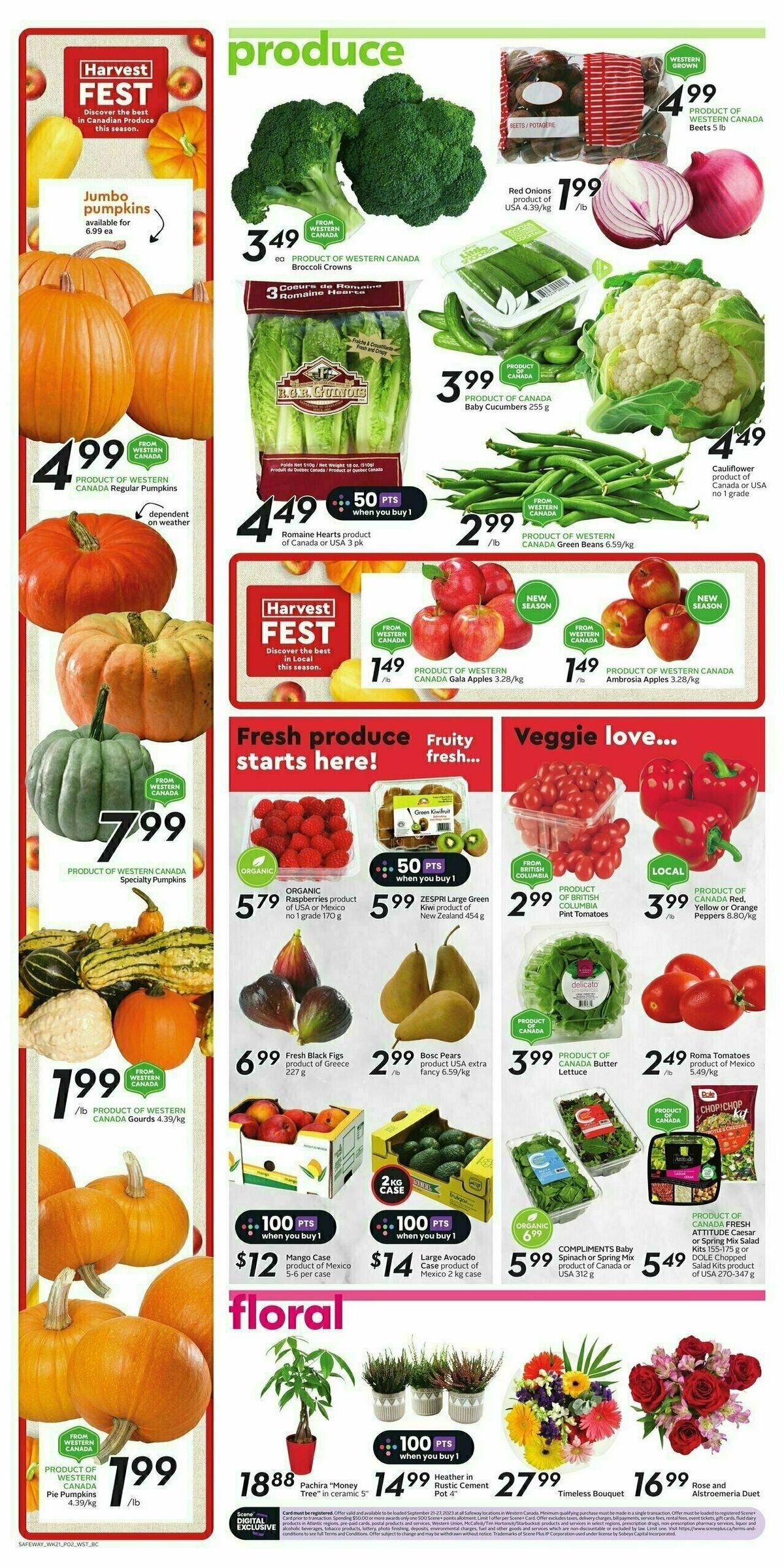 Safeway Flyer from September 21