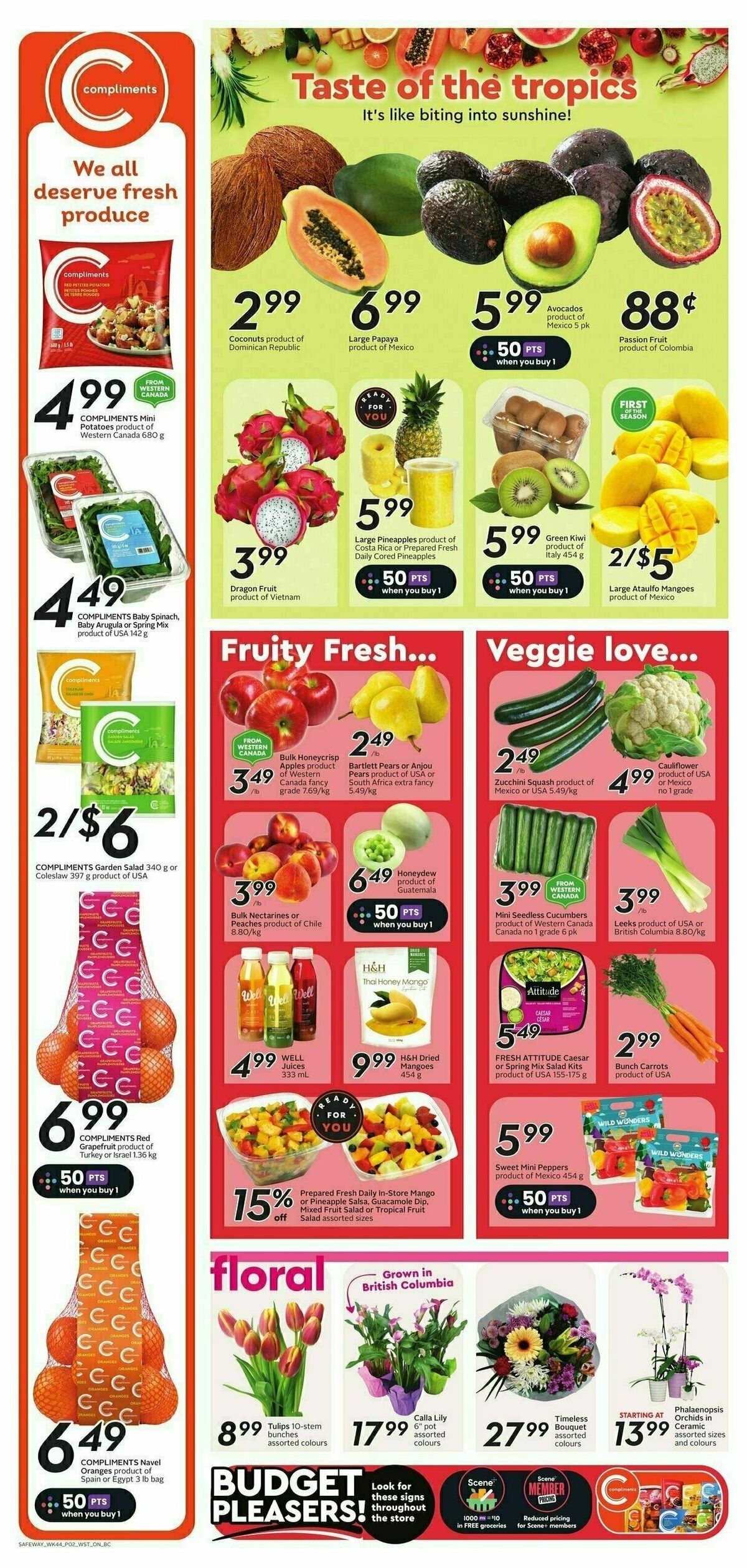 Safeway Flyer from February 29