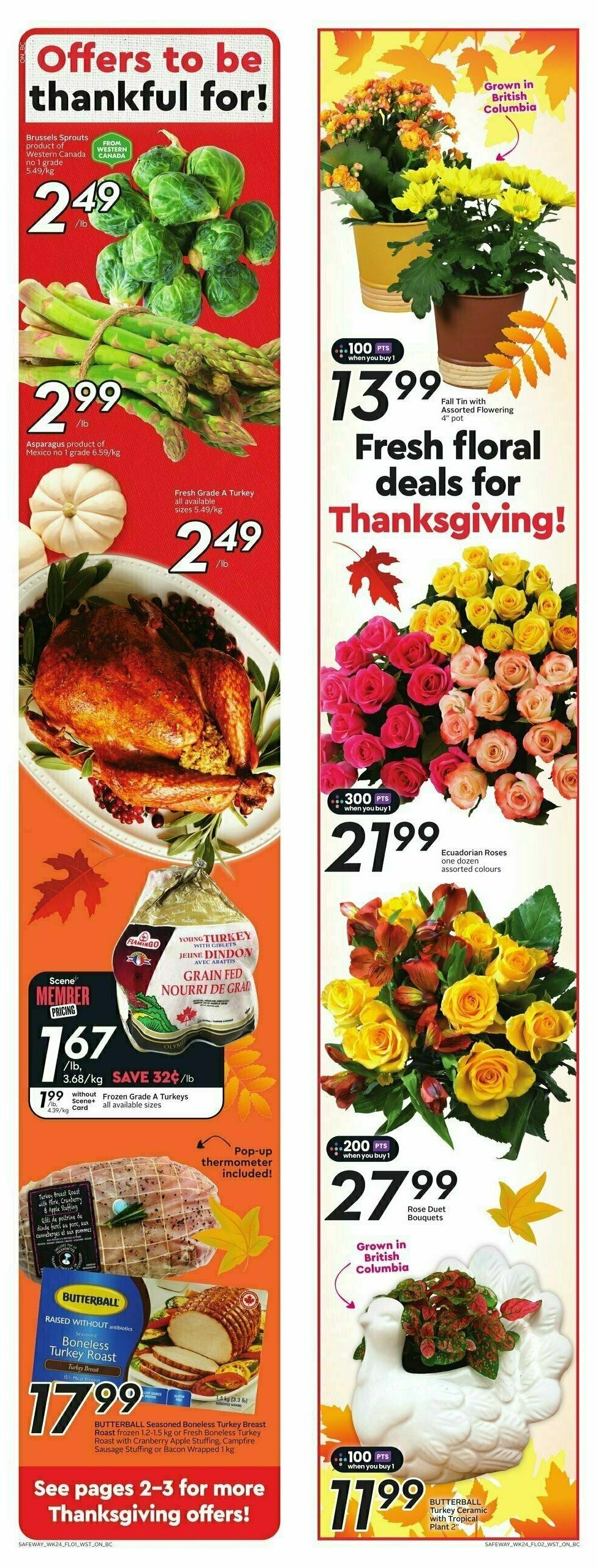 Safeway Flyer from October 10