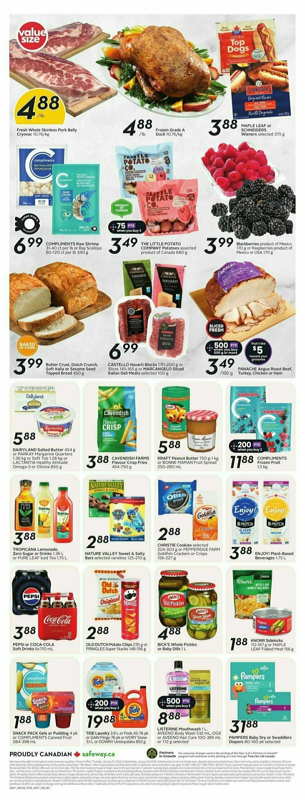 Safeway Flyer from January 23