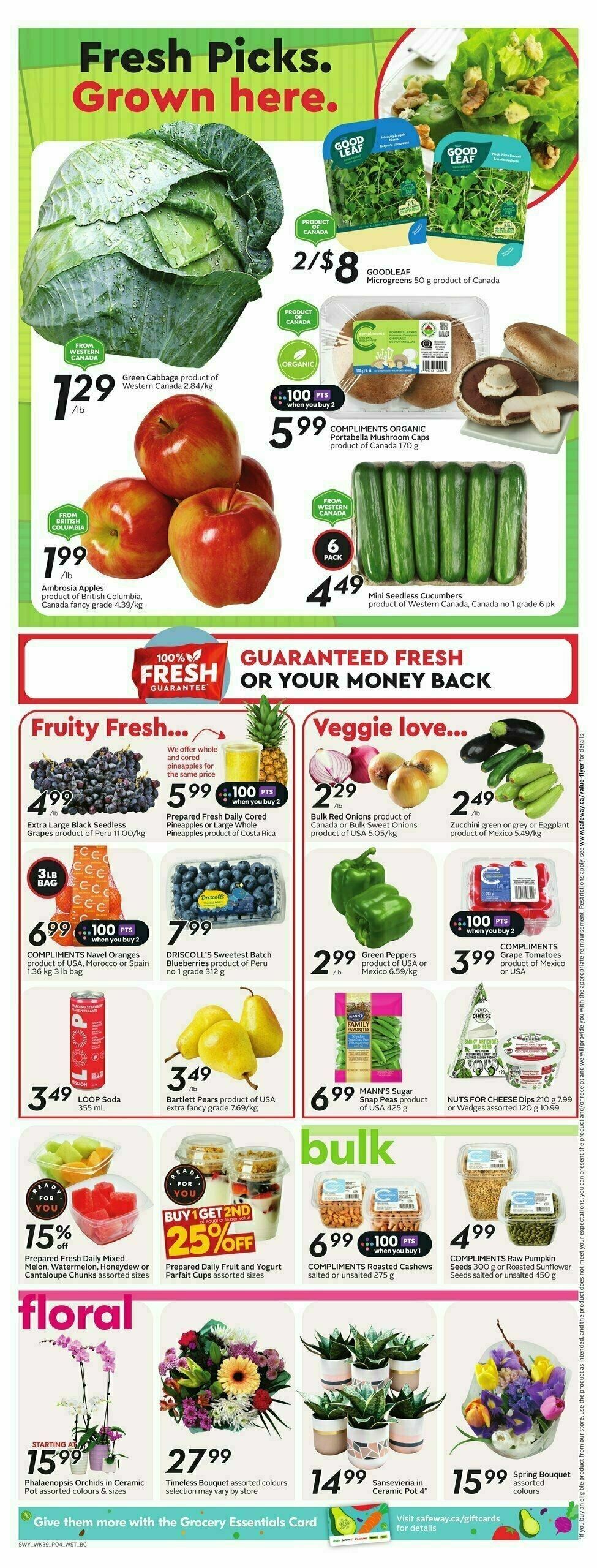 Safeway Flyer from January 23