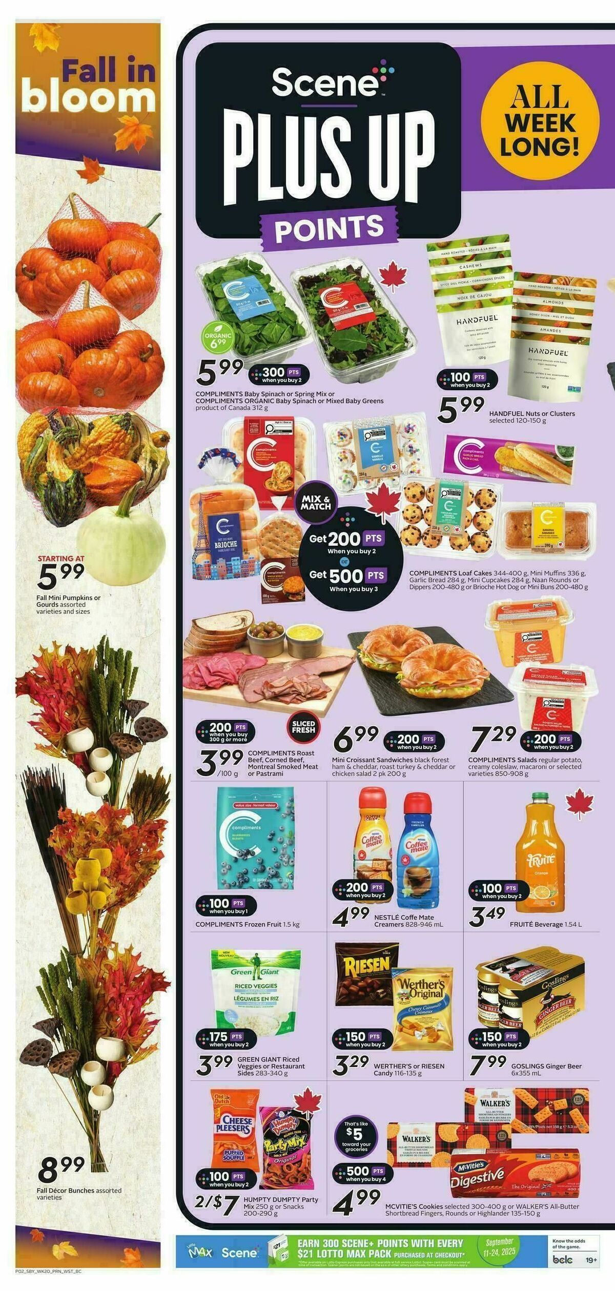 Safeway Flyer from September 11