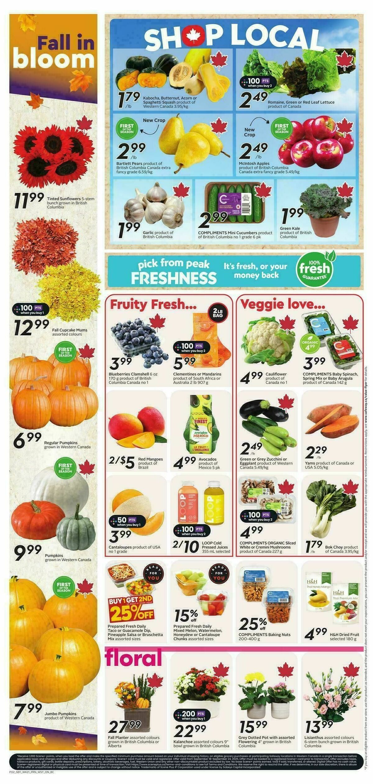 Safeway Flyer from September 18