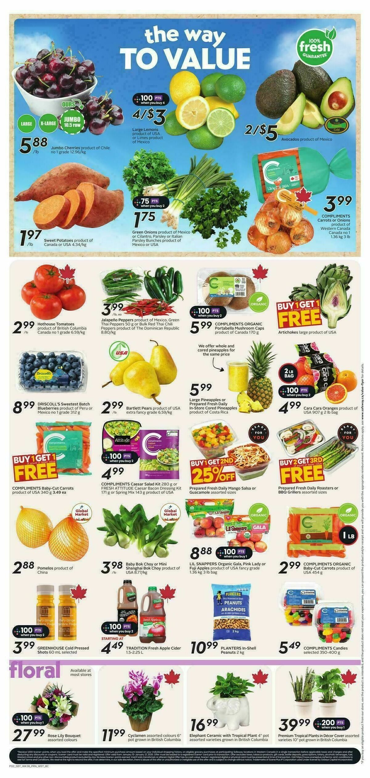 Safeway Flyer from January 15