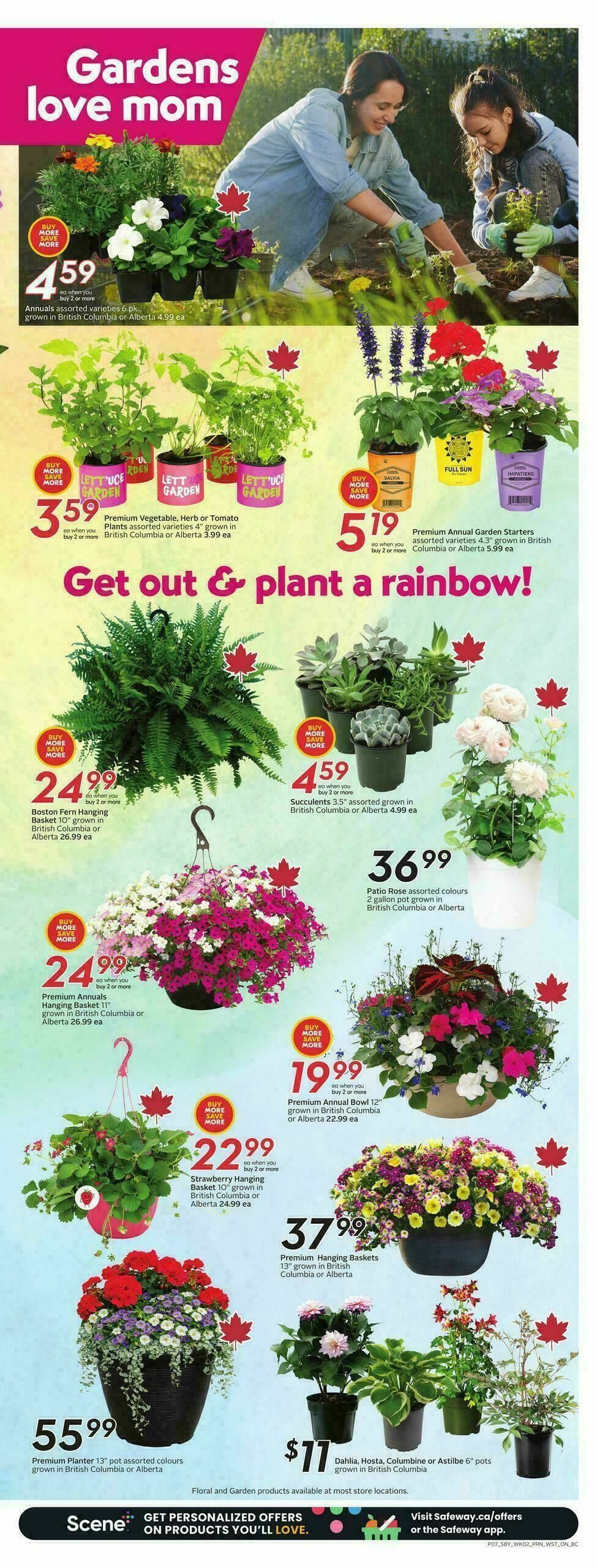 Safeway Flyer from May 7