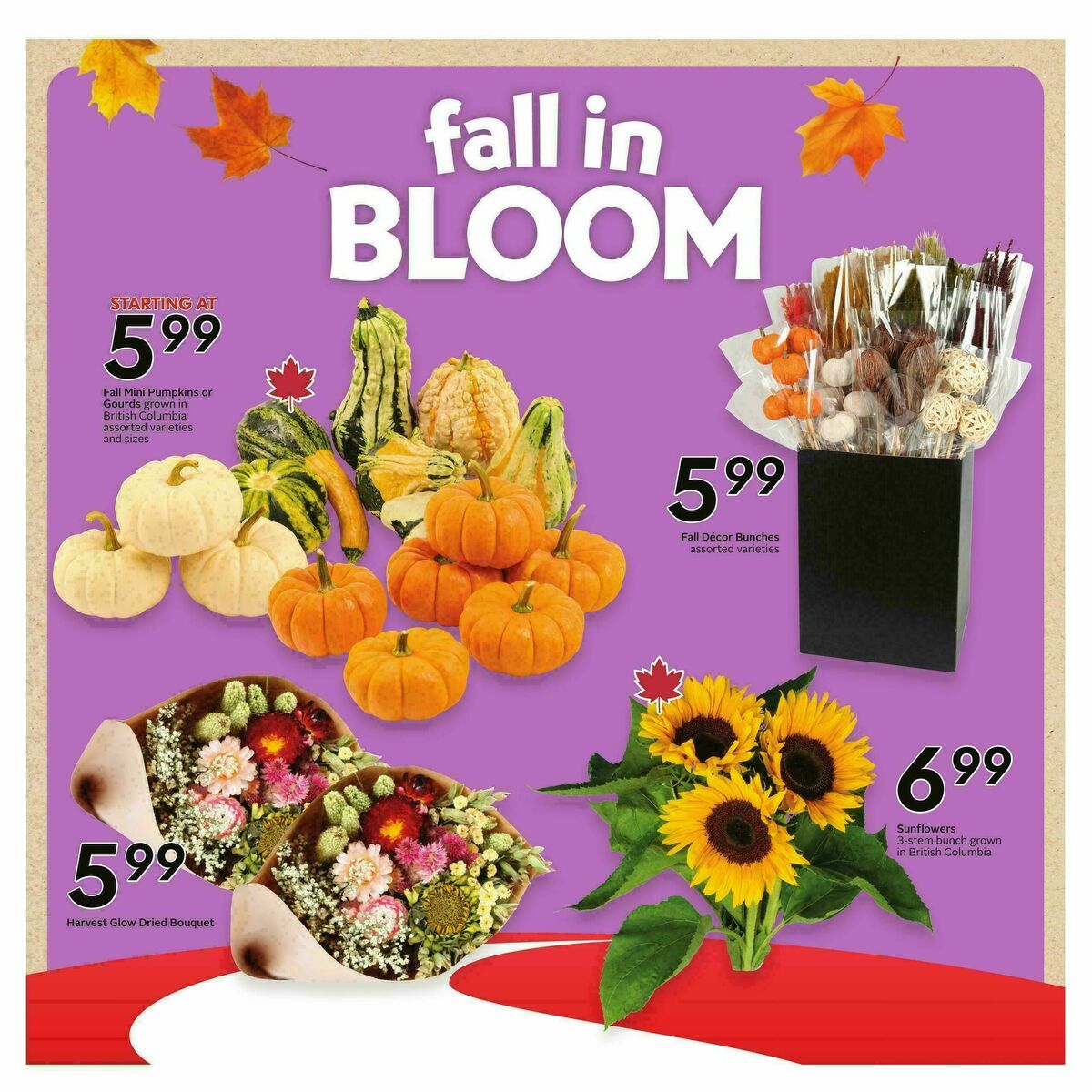 Safeway Flyer from September 10