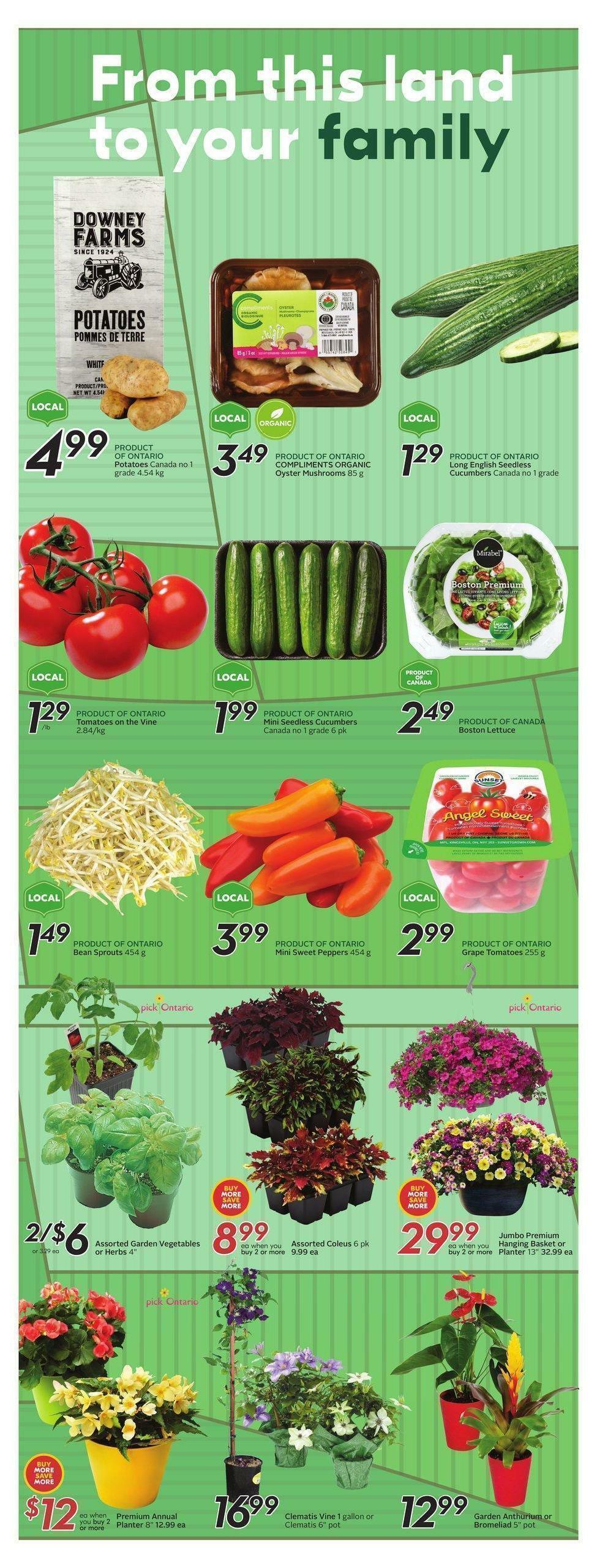 Sobeys Flyer from May 19