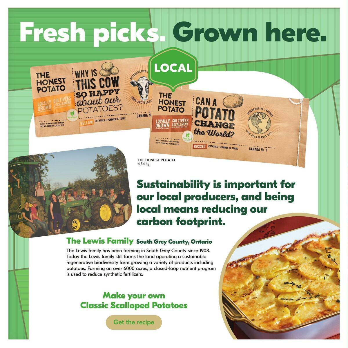 Sobeys Flyer from October 20