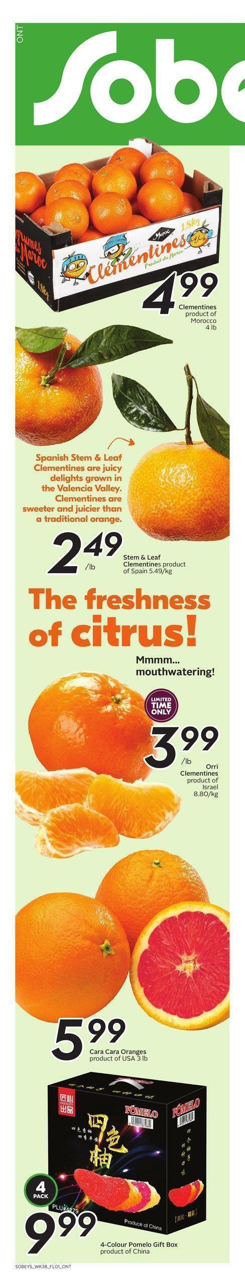 Sobeys Flyer from January 19