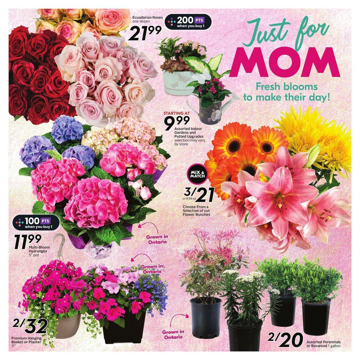 Sobeys Flyer from May 4