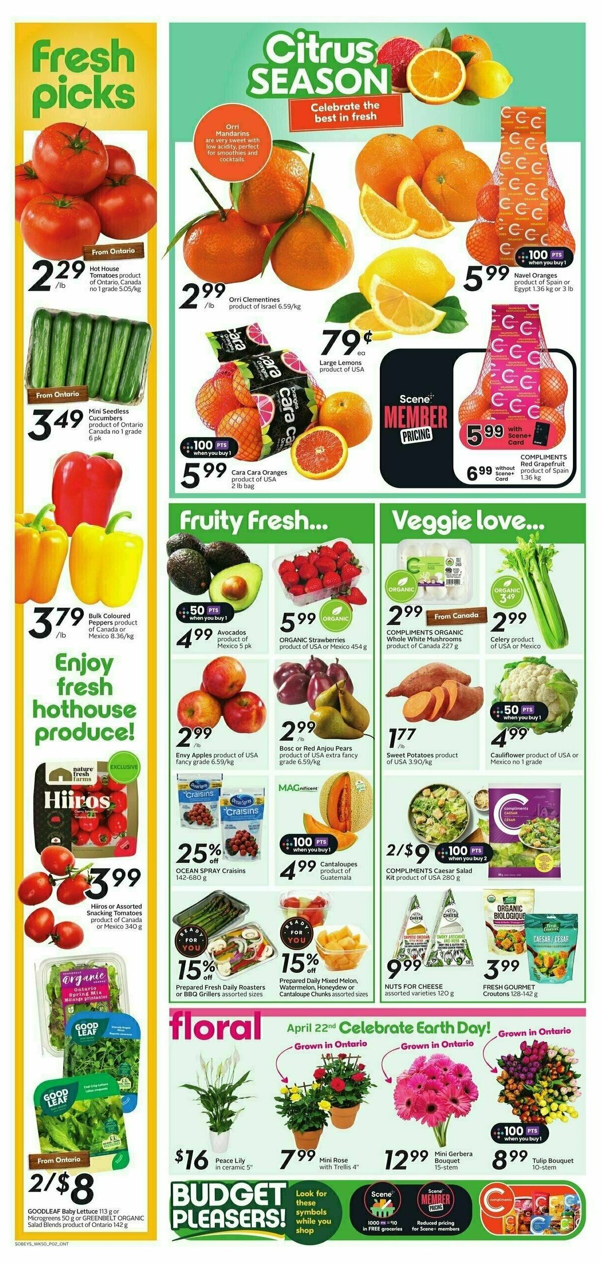Sobeys Flyer from April 11