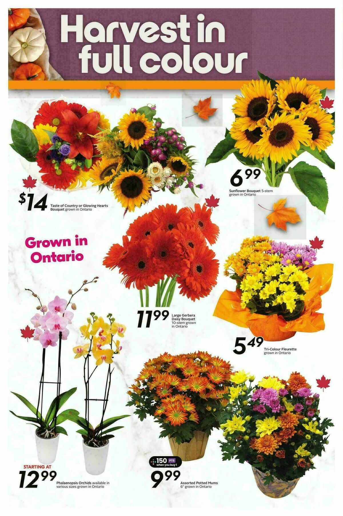 Sobeys Flyer from October 2