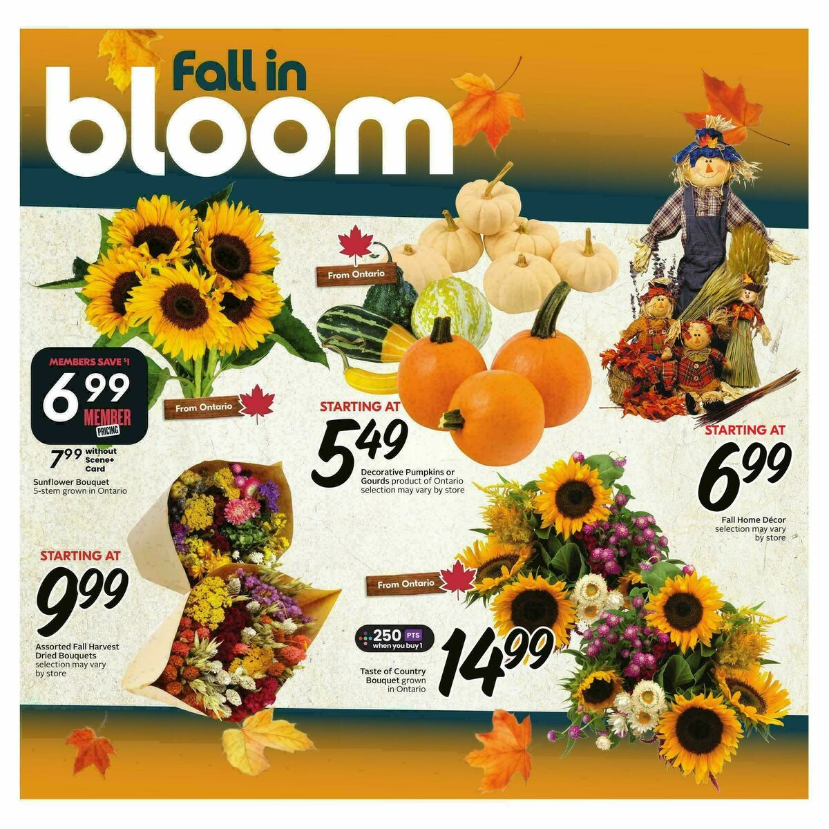 Sobeys Flyer from September 10