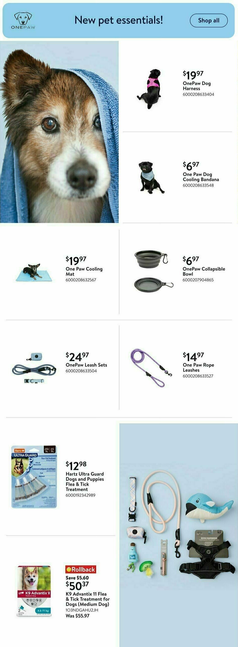 Walmart Summer Digest Flyer from June 5