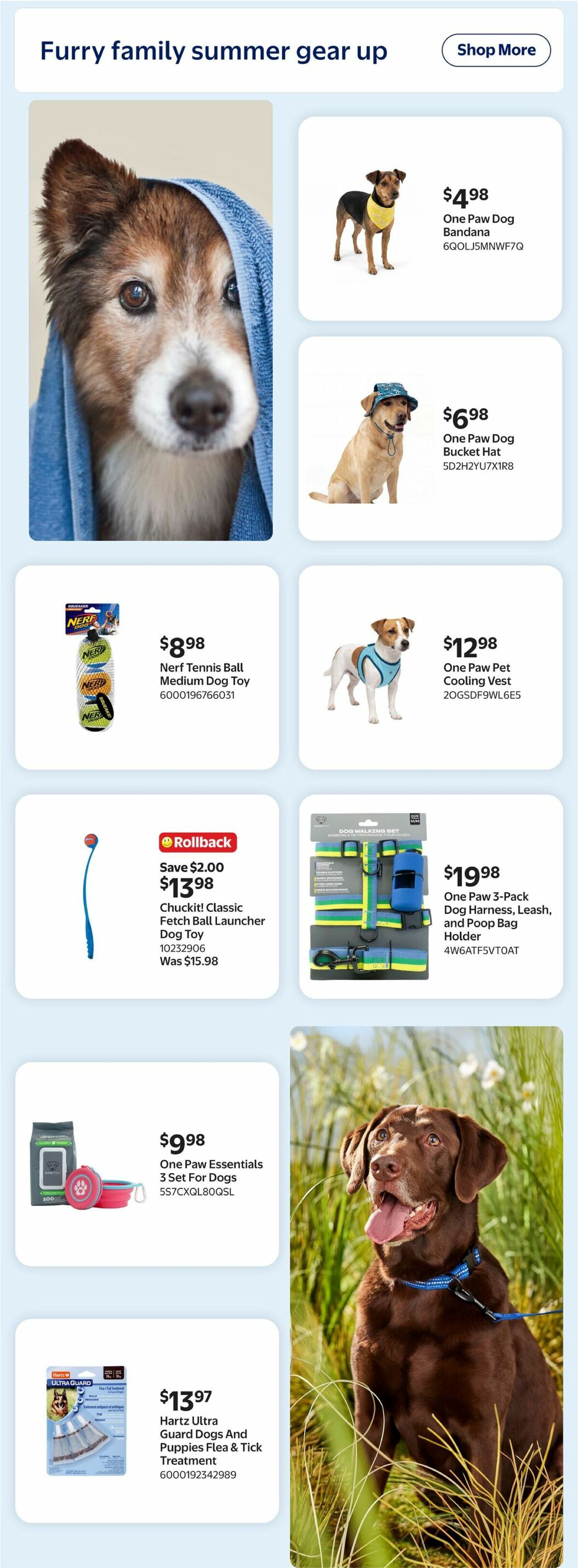 Walmart Summer Outdoor Guide Flyer from June 4